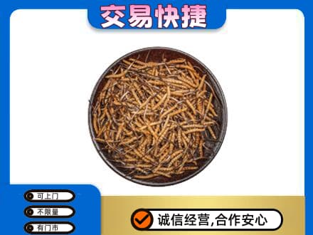 秦皇岛回收散虫草