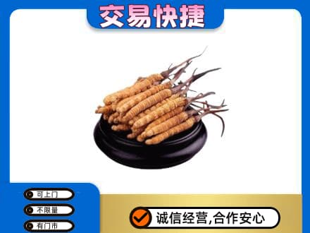 秦皇岛高价回收冬虫夏草多少钱每克